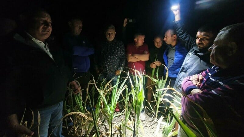 ministrul agriculturii în actiune: petre daea s-a dus noapte pe câmp să vadă pagubele făcute de secetă