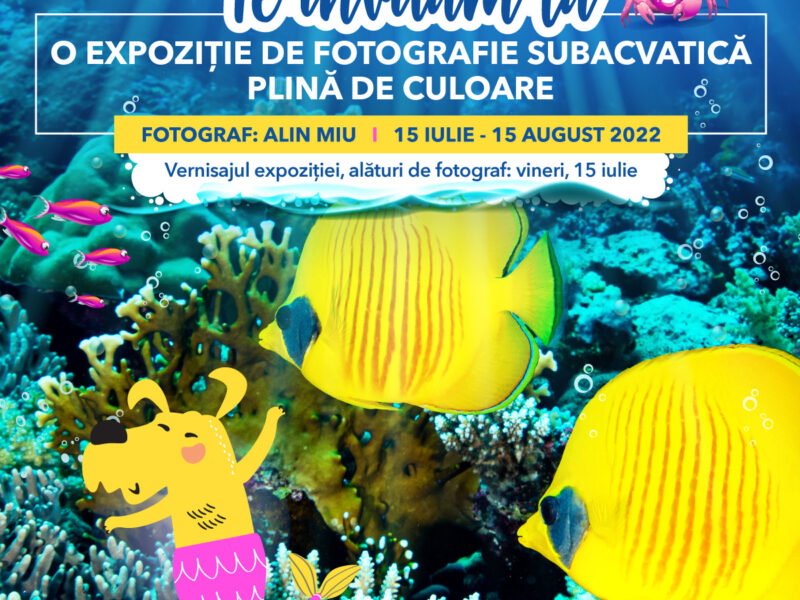 shopping city sibiu aduce la suprafață minunata lume a oceanului printr-o expoziție de fotografie unică în regiune