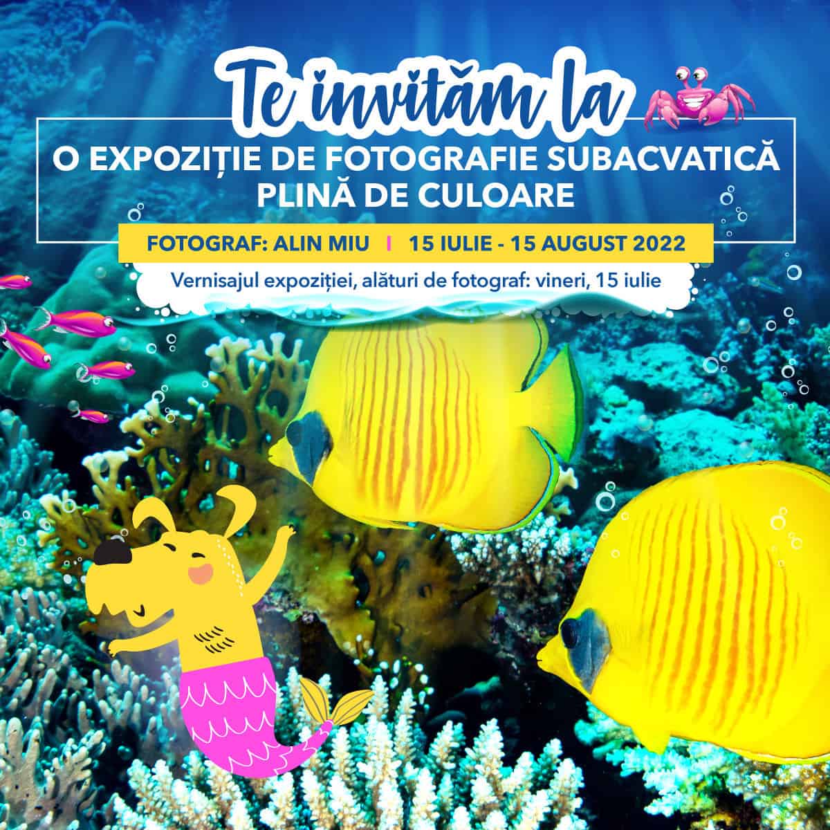 shopping city sibiu aduce la suprafață minunata lume a oceanului printr-o expoziție de fotografie unică în regiune