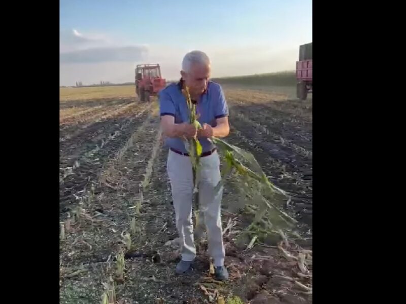 VIDEO: Ministrul Agriculturii, o nouă zi lângă fermierii din Sibiu: “Am început munca ieri la ora cinci dimineața”