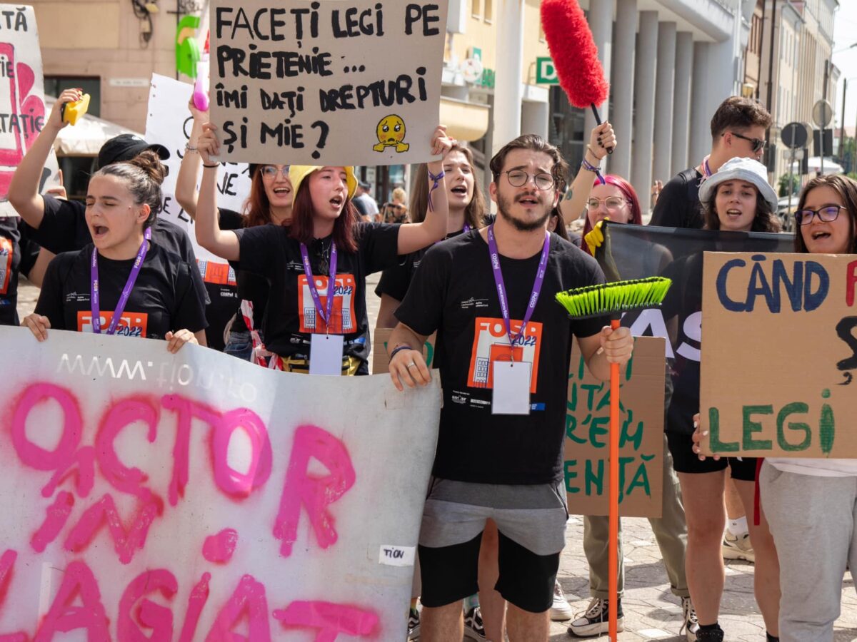membrii ai asociației studenților în psihologie sibiu protestează la timișoara pentru câștigarea mai multor drepturi