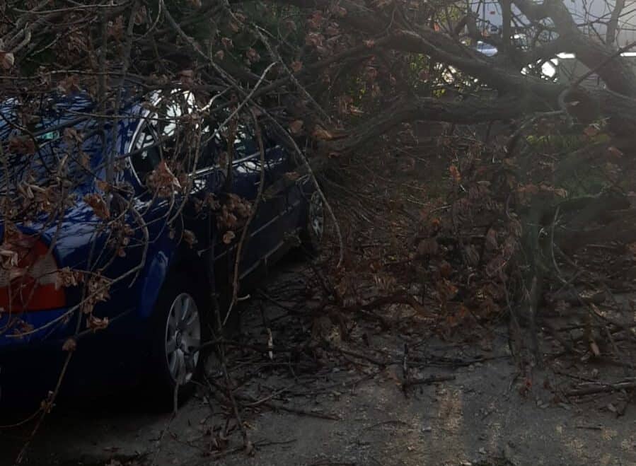 vremea a făcut ravagii la sibiu în weekend - un copac a căzut peste o mașină