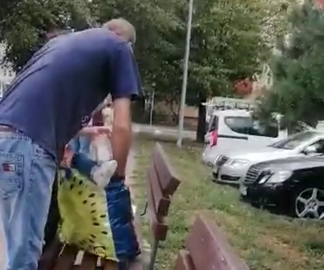 video părinți „inventivi” la sibiu - au purtat copilul într-o sacoșă