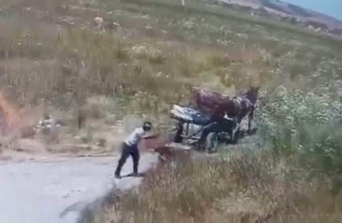 video: un sibian care a aruncat mobilă pe o stradă din sibiu, amendat cu 20.000 de lei