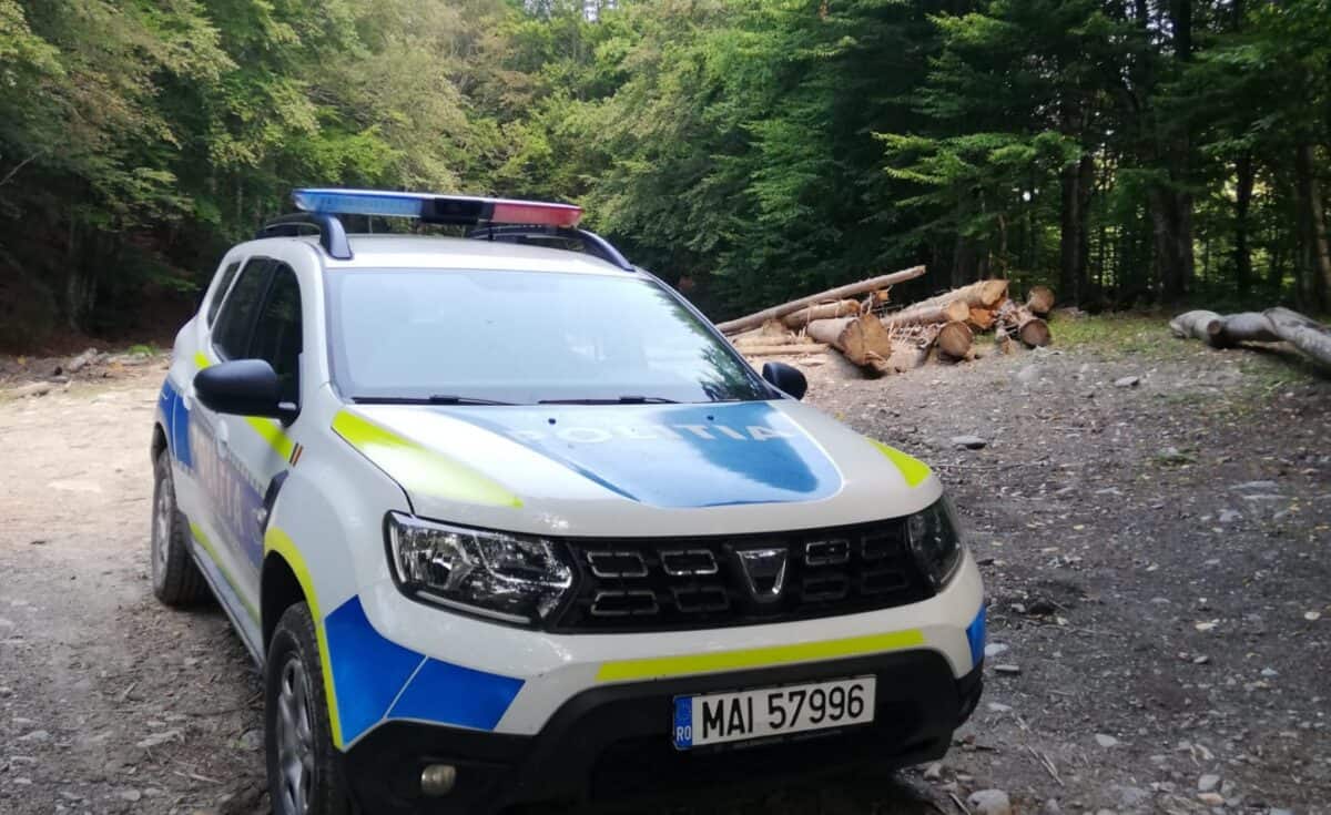 sibian amendat cu 1.000 de lei pentru furt de lemne - a fost prins în bârghiș