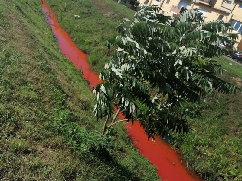 sga sibiu lămurește problema poluării de pe valea hambei - „cantitatea deversată nu a reprezentat un pericol”