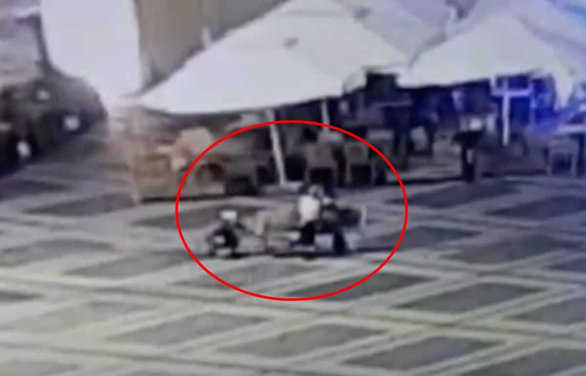 update video: hoț de telefoane, prins de poliția locală în centrul sibiului