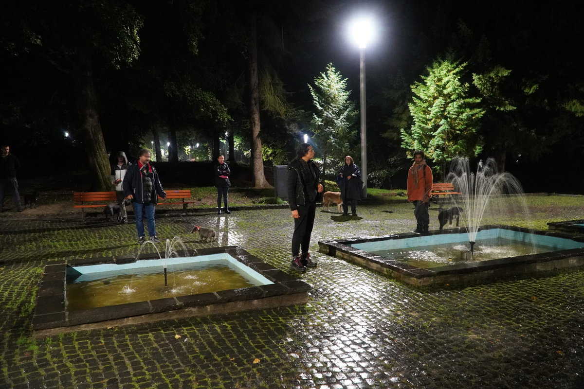 video foto - a patra altfel de plimbare cu câini prin parc - deborah faoro, inițiatoarea proiectului: „câinele are nevoie de stimulare fizică, psihică, dar și emoțională”