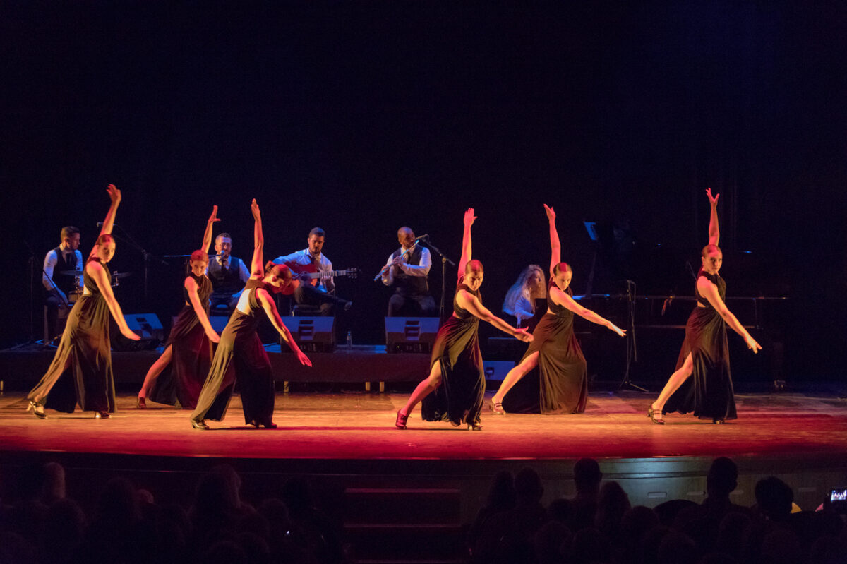 Premierele lunii octombrie pe Scena Digitală a Teatrului ”Radu Stanca”: „RUG” și un spectacol al Barcelona Flamenco Ballet