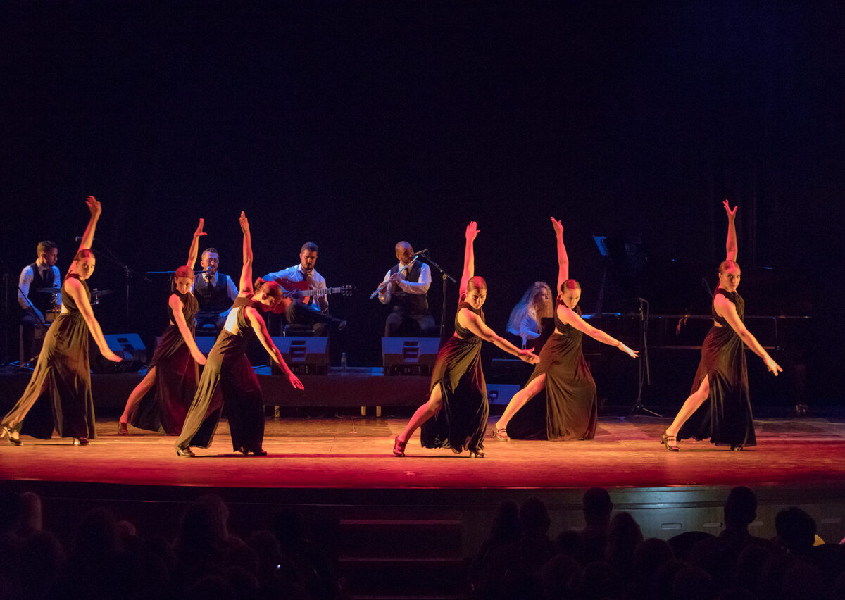 Premierele lunii octombrie pe Scena Digitală a Teatrului ”Radu Stanca”: „RUG” și un spectacol al Barcelona Flamenco Ballet