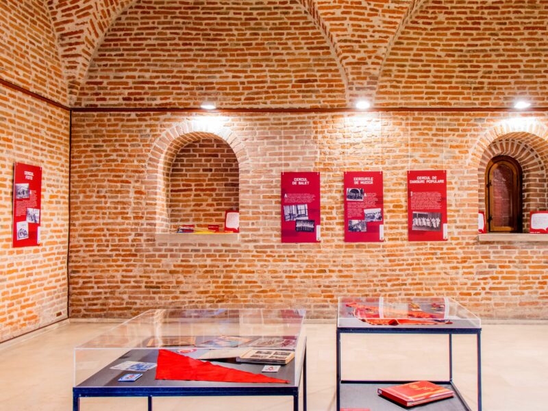 expoziția „palatul pionierilor – istorii subiective”, inițiată de muzeul național cotroceni, itinerată la sibiu