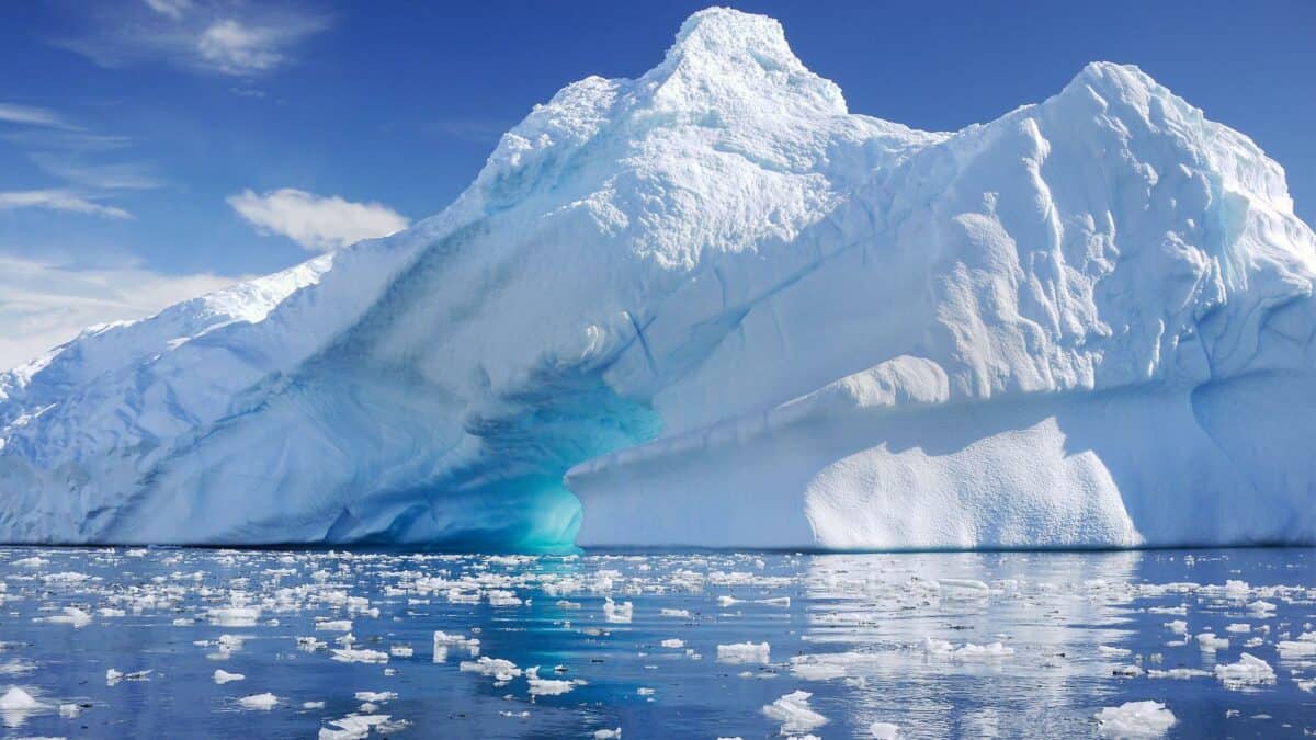 studiu - viața scoicilor, midiilor și melcilor din oceanul arctic pusă în pericol de topirea gheții