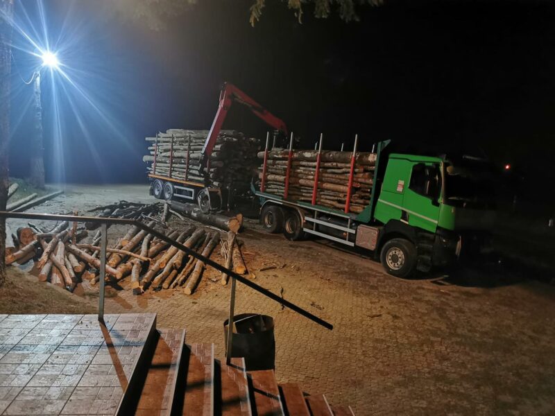 șeful ipj vâlcea acuzat că a blocat o acțiune a subalternilor împotriva furturilor de lemne