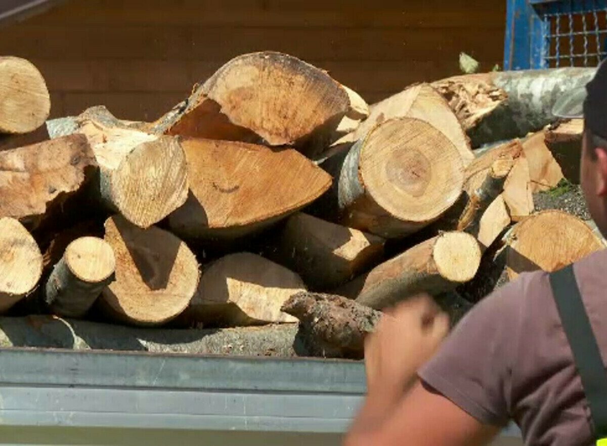 transport de lemne ilegal la porumbacu de jos - un sibian a trecut cantități mai mici în avizul de însoțire