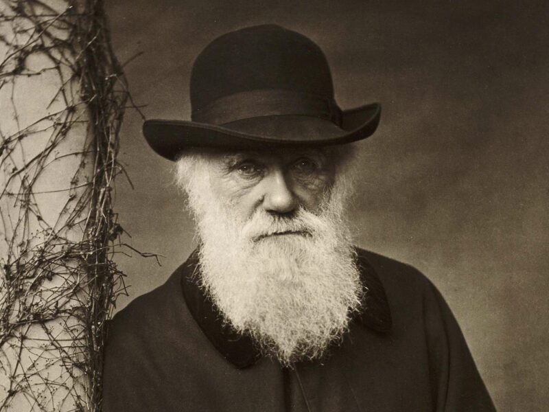 o scrisoare semnată de biologul charles darwin scoasă la licitație cu peste un milion de lire sterline
