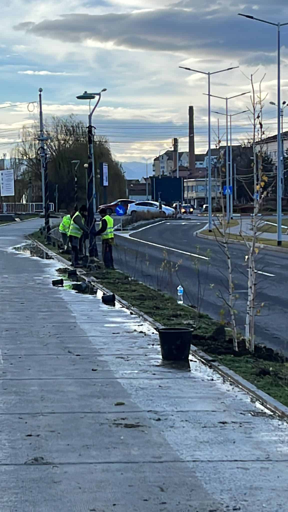 Plantare masivă pe malurile Cibinului - Peste 1500 de arbori și arbuști au fost deja amplasați