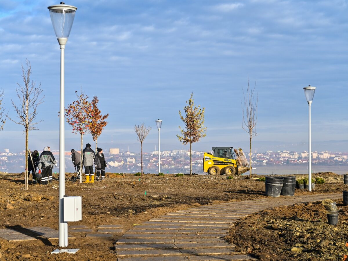 foto: parcul tilișca, mai aproape de deschidere - a început plantarea arborilor și plantelor