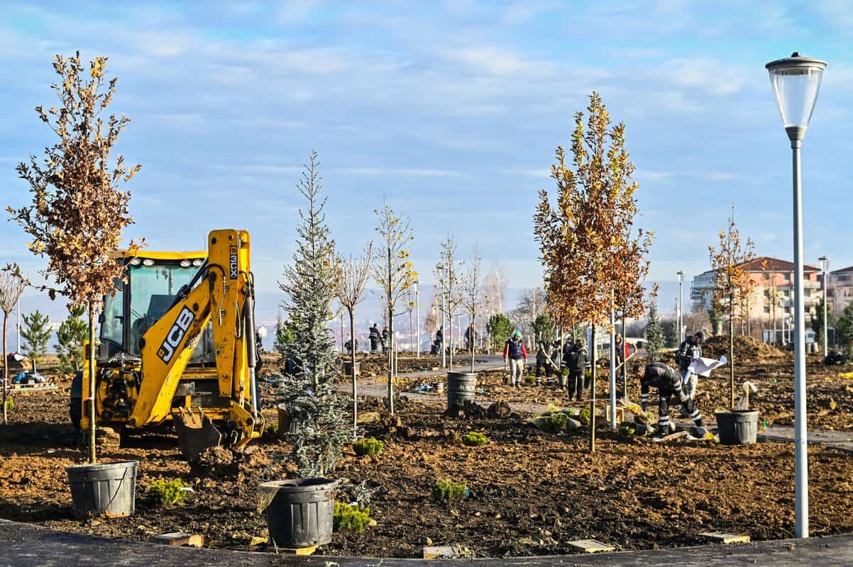 foto: parcul tilișca, mai aproape de deschidere - a început plantarea arborilor și plantelor