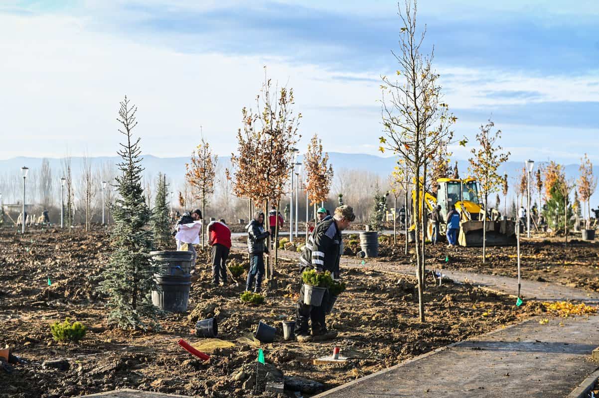 foto: parcul tilișca, mai aproape de deschidere - a început plantarea arborilor și plantelor