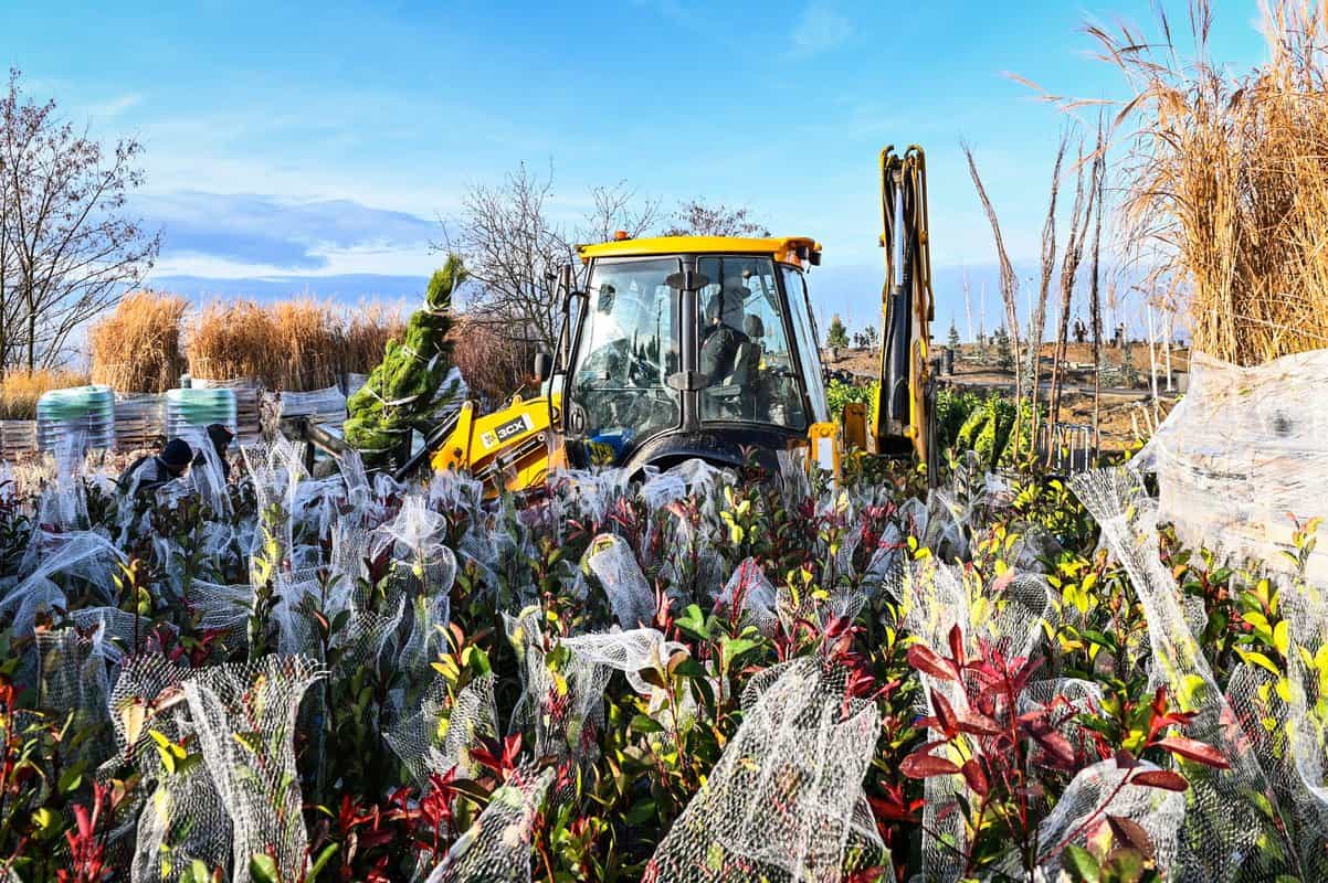 foto: parcul tilișca, mai aproape de deschidere - a început plantarea arborilor și plantelor