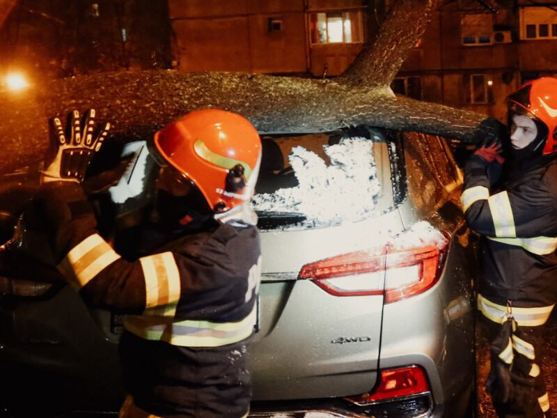 foto viscolul a făcut ravagii în capitală - aproape 40 de mașini avariate din cauza copacilor căzuți