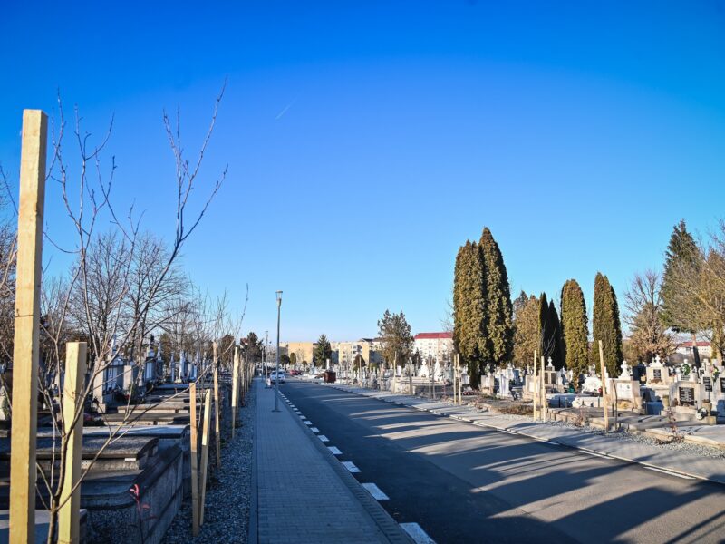 program special la cimitirul municipal din sibiu în minivacanță