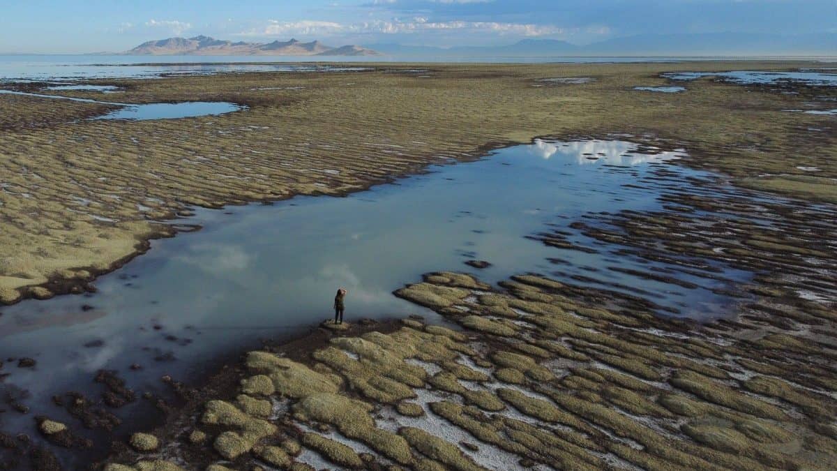 dezastru ecologic fără precedent - marele lac sărat din utah ar putea dispărea din cauza schimbărilor climatice