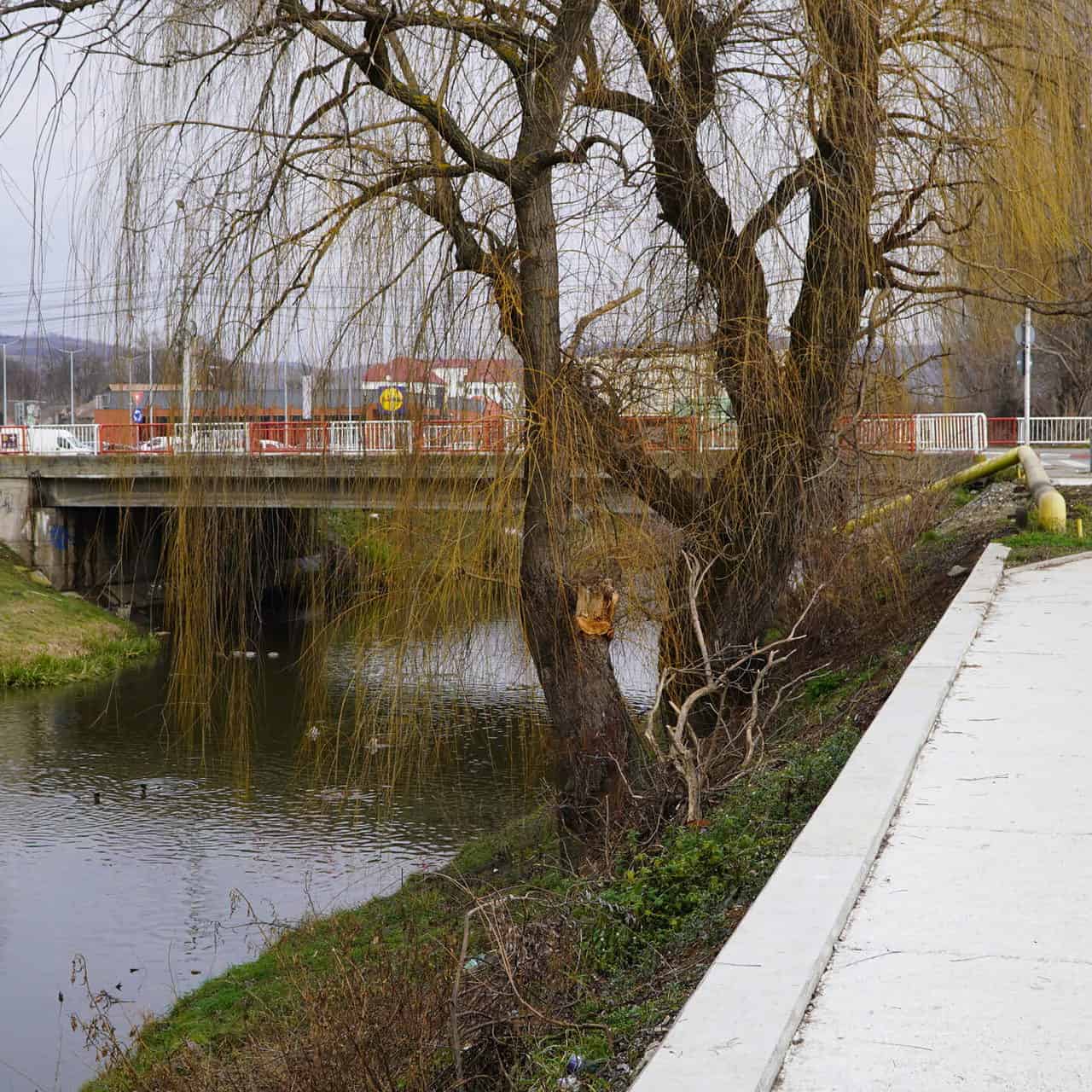 video foto: pista de biciclete de pe malul cibinului - primăria a lansat licitația pentru conectarea a două tronsoane