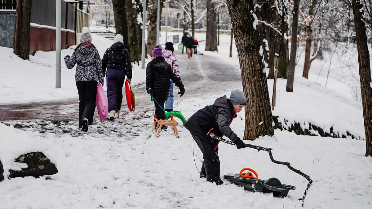 FOTO VIDEO Zeci de copii la săniuș în Parcul Sub Arini – Unii au venit de la școală direct pe derdeluș