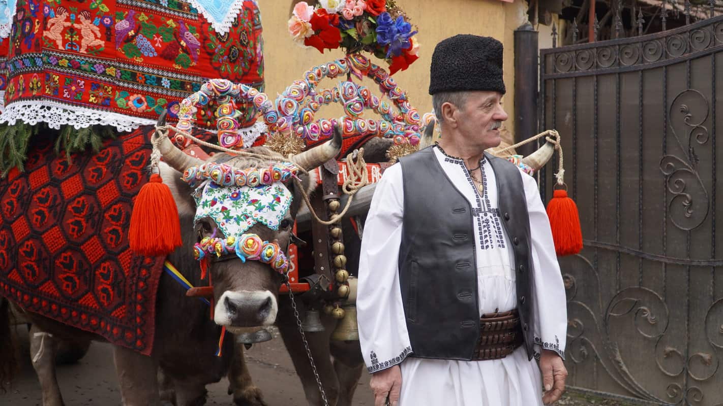 video foto "udatul ionilor" la tălmacel - un sat întreg trăiește din nou bucuria și culoarea tradiției străbune
