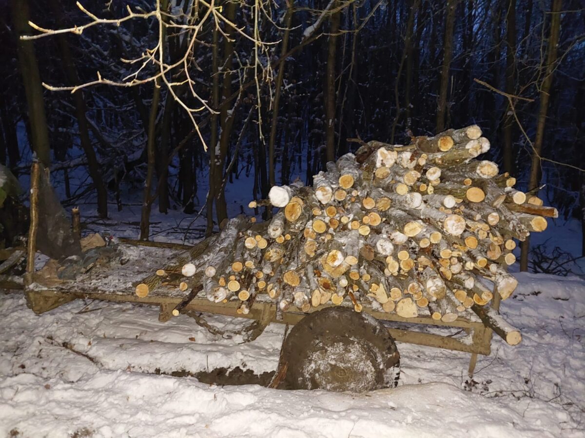 foto: șapte sibieni, cercetați pentru infracțiuni la regimul silvic, reținuți de polițiști