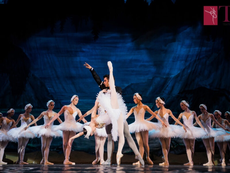 peste 800 de dansatori profesioniști din toată lumea au aplicat pentru o audiție la teatrul de balet din sibiu