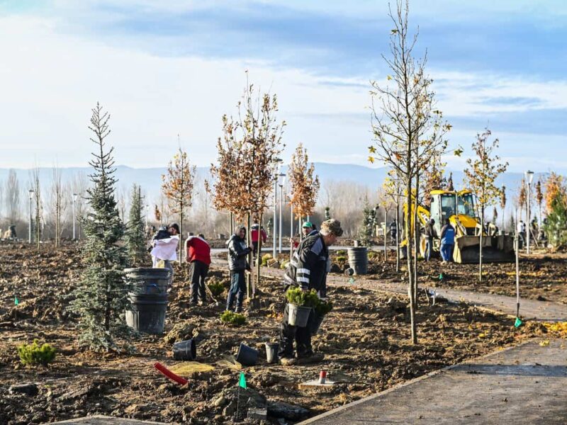 noul parc al sibiului se va numi belvedere - a fost cel mai votat de către sibieni