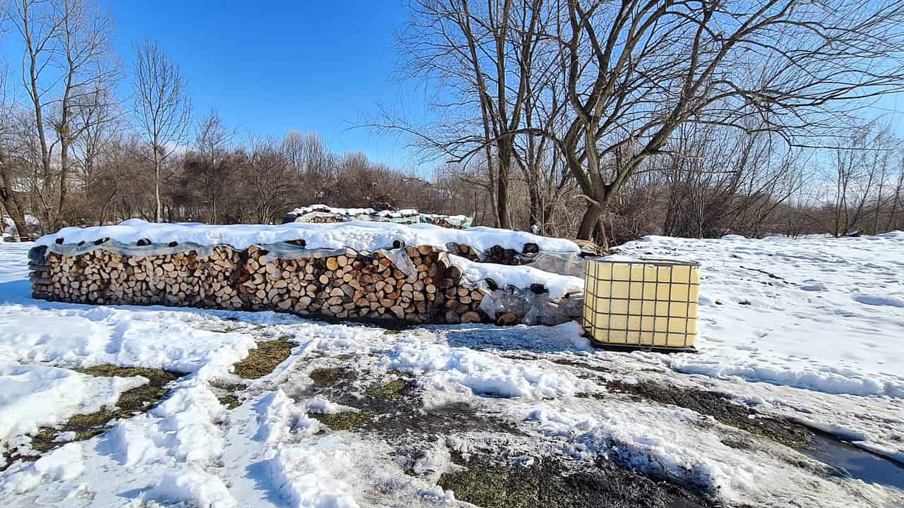 lemne confiscate de polițiști în arpașu de sus - doi sibieni, amendați cu 11.000 de lei