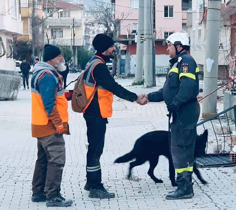 câini antrenați la sibiu, eroi în turcia – thor și speedy au salvat zeci de oameni prinși sub dărâmături