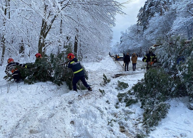 UPDATE FOTO: Copac căzut pe carosabil în zona Muzeului Astra