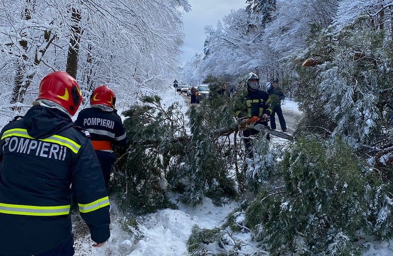 UPDATE FOTO: Copac căzut pe carosabil în zona Muzeului Astra