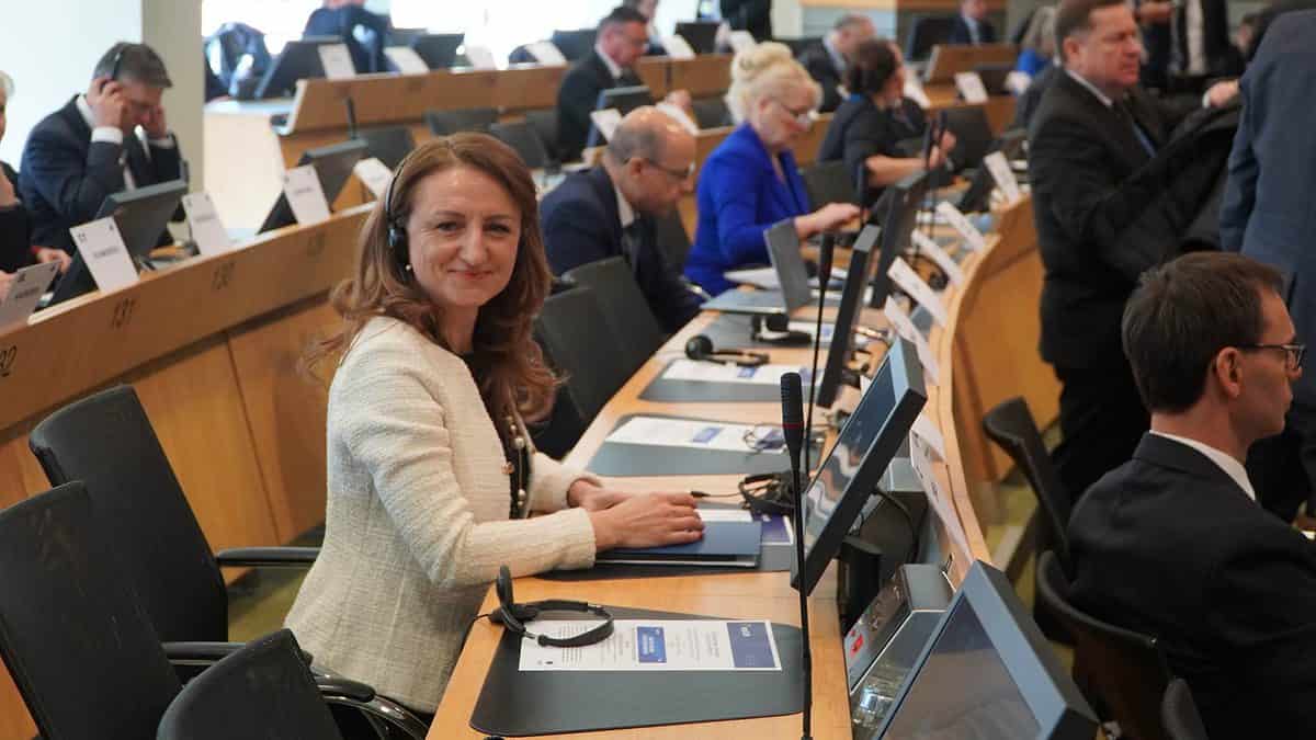 Ideea portalului medical Sibiu ar putea fi extinsă la nivel european - Avizul va fi votat la Bruxelles, iar Daniela Cîmpean participă la ședință