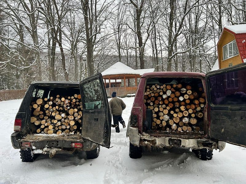 foto: arbori tăiați ilegal în arpașu de sus - doi sibieni s-au ales cu dosar penal