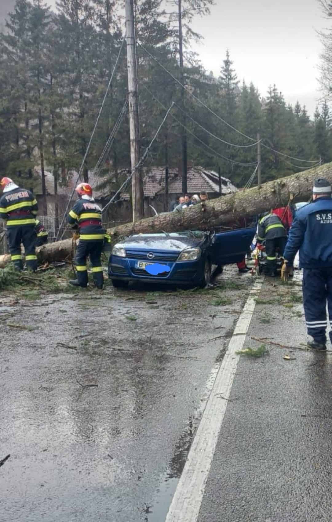 foto mașină zdrobită de un copac pe dn1 - doi răniți duși la spital