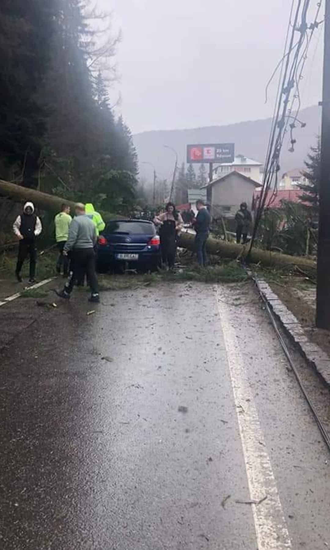 foto mașină zdrobită de un copac pe dn1 - doi răniți duși la spital