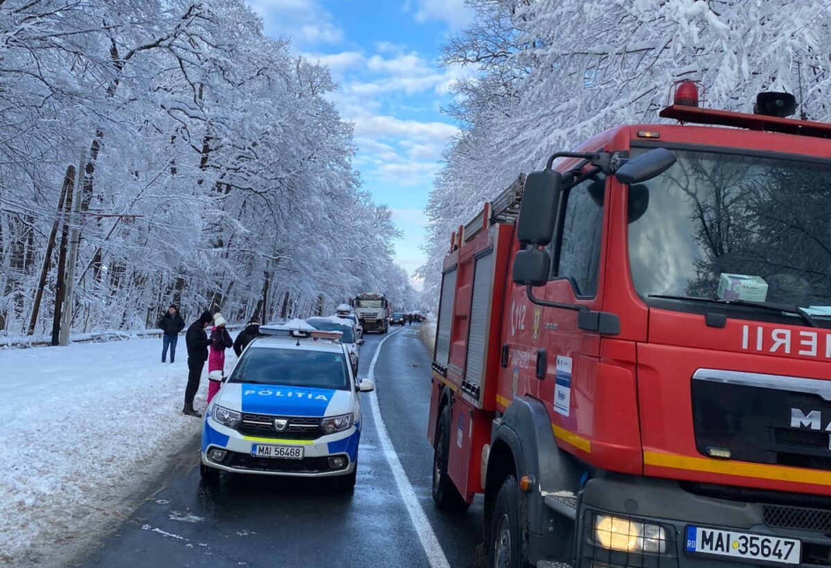 UPDATE FOTO: Copac căzut pe carosabil în zona Muzeului Astra