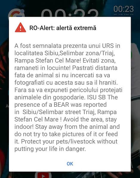 ro alert atenție - urs în zona rampa ștefan cel mare din sibiu video