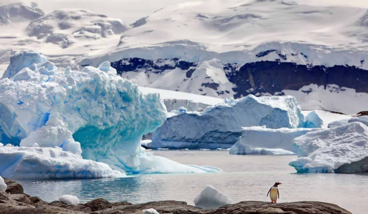 nou record de topire al banchizei din antarctica - oamenii de știință se tem
