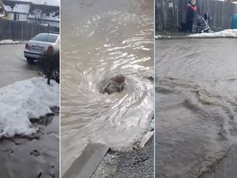 video strada stupului din cisnădie inundată - topirea bruscă a zăpezilor, principala cauză