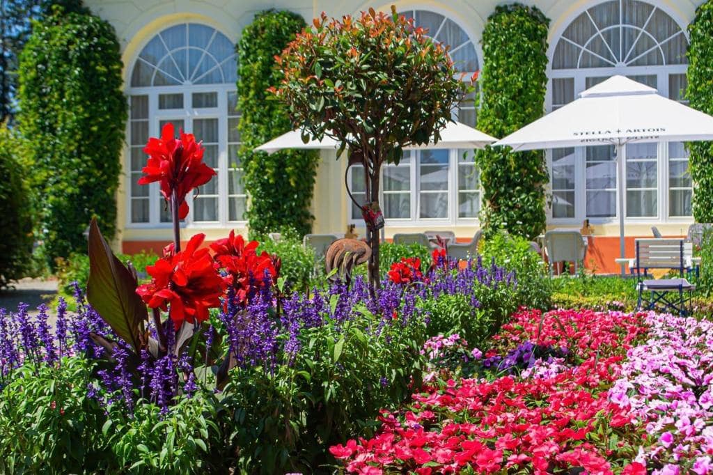 conducerea historic cafes route vine în vizită la palatul brukenthal avrig