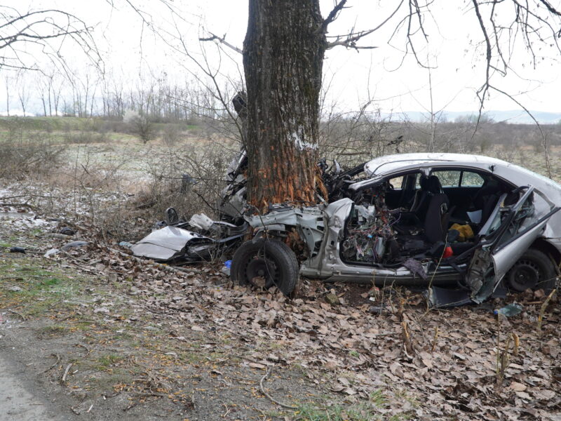 update șofer de 23 ani, mort într-un accident la ieșire din sibiu spre poplaca - a intrat cu mașina într-un copac