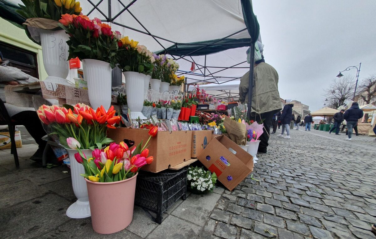 sute de amenzi pentru vânzătorii neautorizați de mărțișoare și flori la sibiu - cei mai mulți prinși pe semaforului
