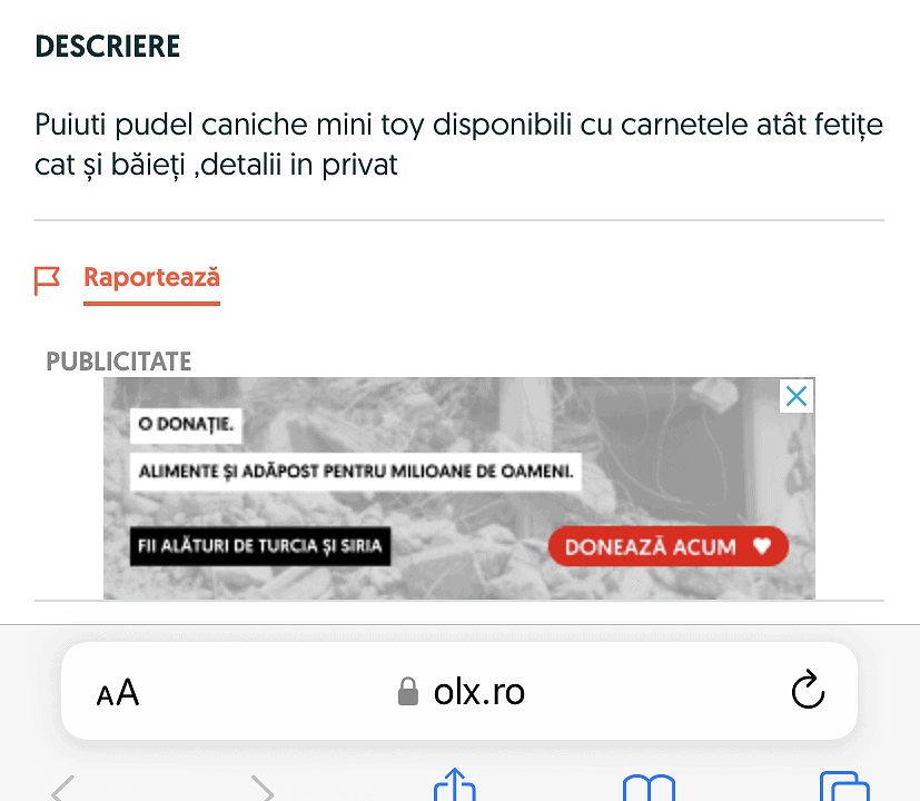 Țeapă de 1.000 de euro cu un câine de rasă comandat din Sibiu în Austria - Proprietar: “L-au băgat în carantină”