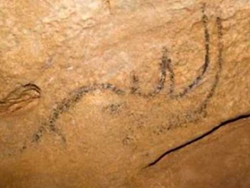 peșteră spectaculoasă în românia - în munții apuseni s-au descoperit desene rupestre vechi de peste 30.000 de ani